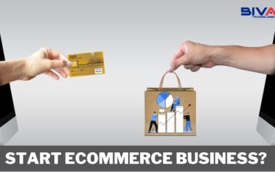 Start Ecommerce Business Like a Pro: Beginners’ 100% Guide