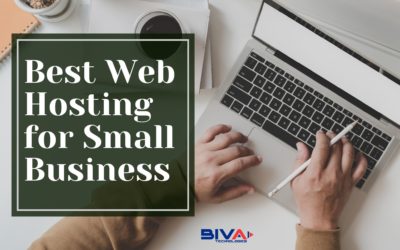 5+ Best Web Hosting for Small Business: 100% Budget Friendly